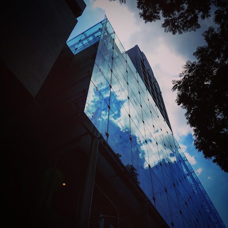 low-angle-view-twig-by-modern-glass-building-against-sky_1048944-19489468